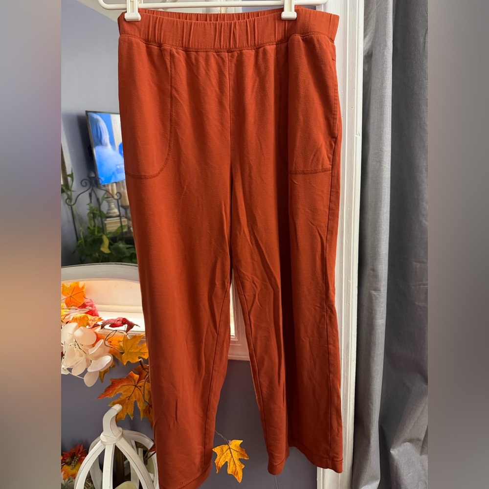 Old Navy Women's Rust Pants